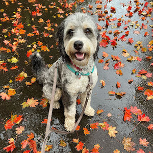 Meet your Posher, Sarah l.